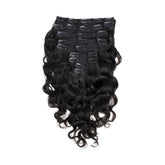 Raw Indian Natural Wave Clip-Ins