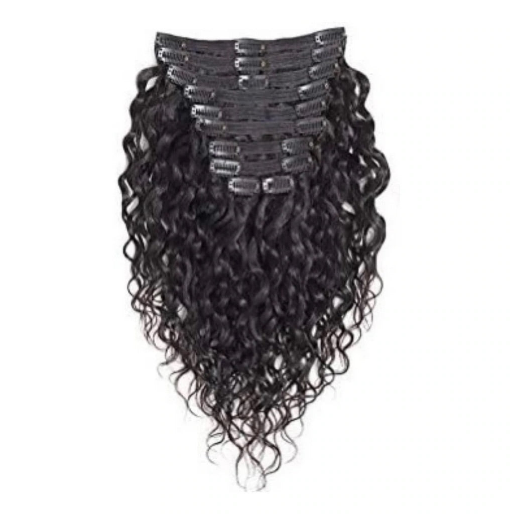 Raw Indian Curly Clip-Ins
