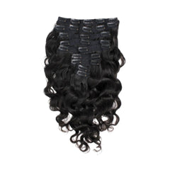 Raw Indian Natural Wave Clip-Ins